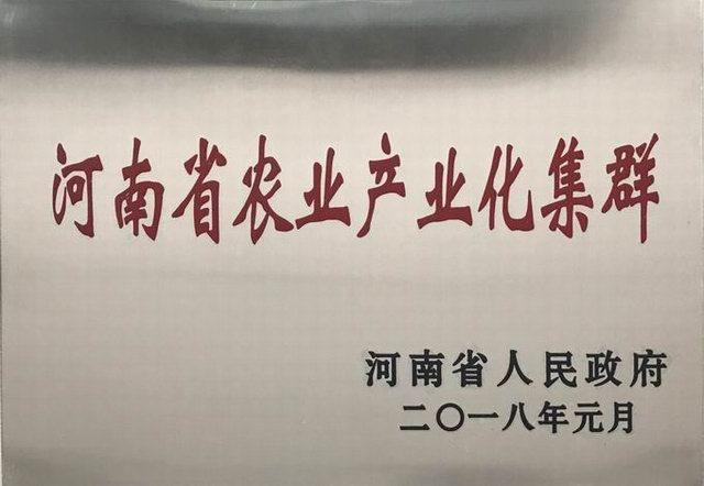 32.河南(nán)省農業産業化集群 2018.1