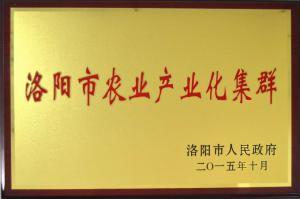 4.洛陽市農業産業化集群2015.10